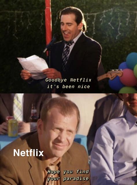 Me canceling my Netflix subscription : r/DunderMifflin