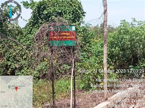 Tambang Timah Ilegal Di Hutan Lindung Lubuk Besar Bangka Tengah Gakkum