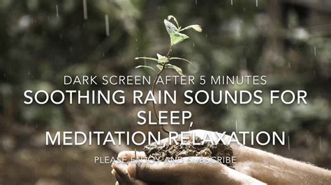 Relaxing Rain And Thunder Sounds Sleep Meditation White Noise Youtube