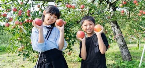 地域資源活用事例に見る地方創生のヒント｜地域資源を活用するメリットも解説 Webマガジン「think Trunk」 自治体・行政機関