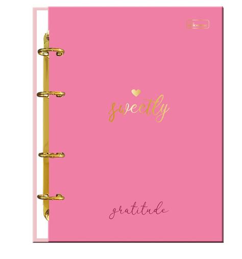 Caderno Colegial Argolado Capa Dura Folhas Bra Sweetly SWCA02 Loja