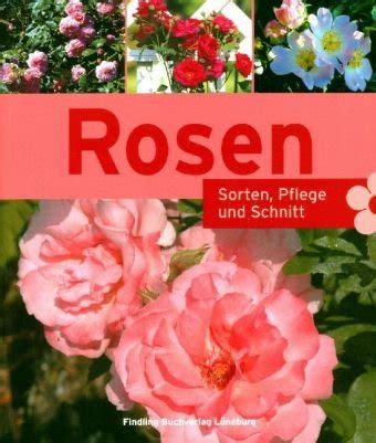 Rosen Sorten Pflege Schnitt Unbekannt Amazon De B Cher