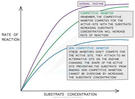 Enzyme Activity Enzyme Inhibitors Ocr A Level Biology Revision Notes