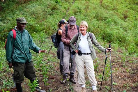 Gorilla Trekking in Uganda • All Your Questions Answered