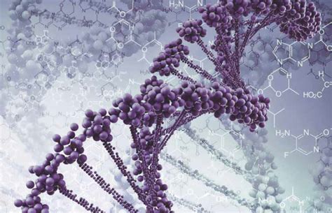 Dna Sequencing Understanding The Genetic Code