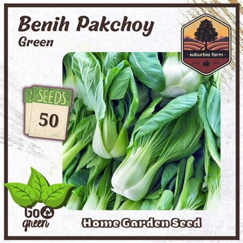 Jual 50 Biji Benih Pakcoy Green Bibit Sayuran Unggul Sawi Pakchoy