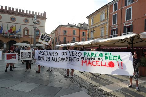 Foto In Piazza Del Popolo Presidio Contro L Uccisione Dei Daini