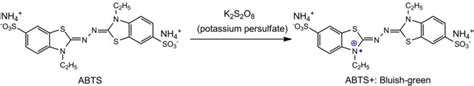 The mechanism of ABTS radical scavenging activity assay (Xiao et al ...