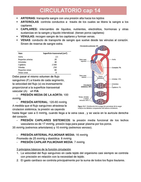 CAP 14 Y 15 Guyton Corazon CIRCULATORIO Cap Transporta Sangre Con