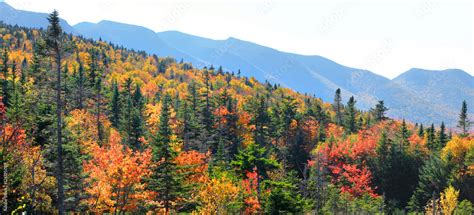 Panorama of Fall foliage in White mountain national forest Stock Photo ...