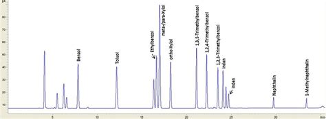 Abbildung Gc Fid Chromatogramm Eines Btext Und Bizyklen Standards C