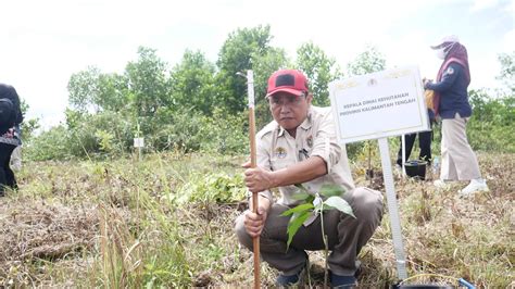 Penanaman Pohon Serempak Tahun 2024