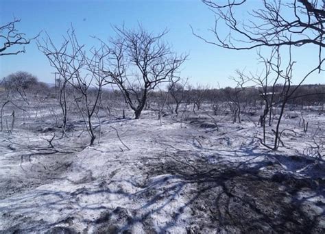 Incendios En Córdoba Reunión Por El Plan De Restauración Ambiental De