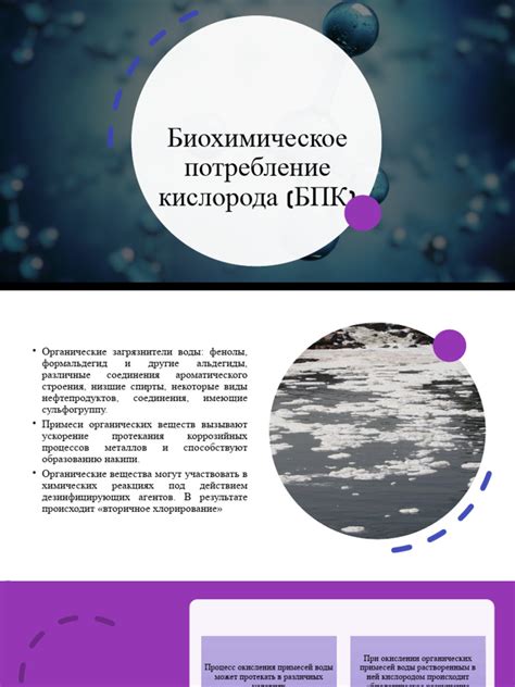 БПК | PDF