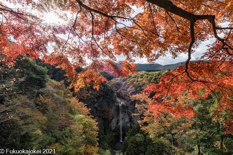 B 九州風景写真 福貴野の滝 2021 大分県宇佐市にある穴場の紅葉スポット 福岡情景写真