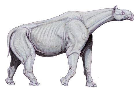 Paraceratherium Vs Battles Wiki Fandom