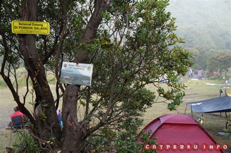 Panduan Wisata Gunung Papandayan Untuk Pendaki Pemula