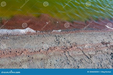 Accumulations Of The Salt Tolerant Crustacean Artemia Salina Near The