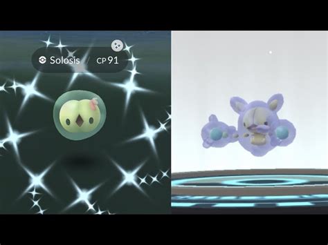 Solosis Evolution