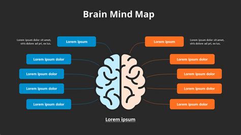 Mapa Mental Del Cerebro Relaci N Diagrama