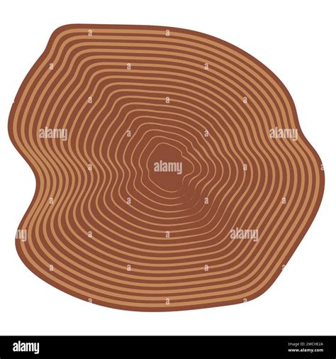 Tree Rings Stump Year Circle Tree Ring Trunk Cut Stock Vector Image
