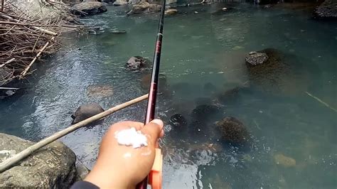 Mancing Ikan Wader Nyalian Dengan Umpan Andalan Youtube