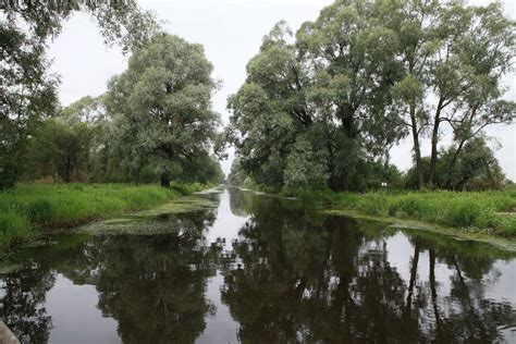 Alam Pedja Nature Reserve And Ilmatsalu Fish Ponds Visit Tartu