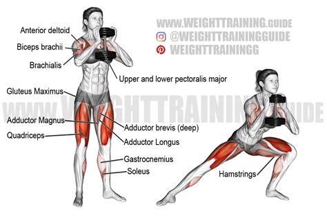 Dumbbell side lunge exercise instructions and video | Lower body ...