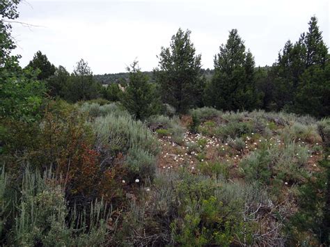 Pacific Northwest Interagency Natural Areas Network