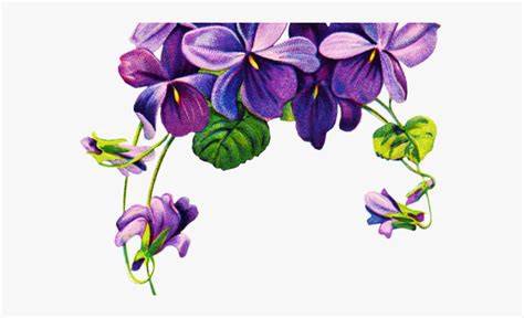 pansy border clip art 10 free Cliparts | Download images on Clipground 2025