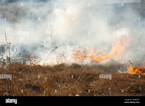 Hierba seca ardiendo en el campo durante el primer plano del día Quema