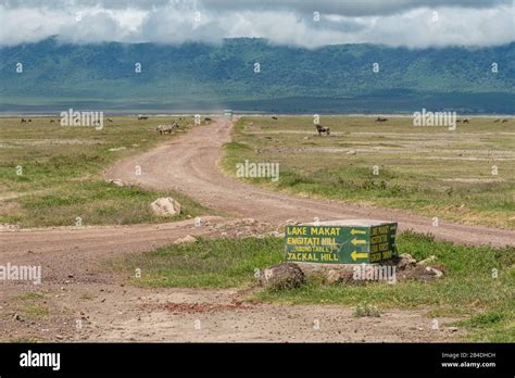 Ngorongoro Krater Nationalpark Stockfotos Und Bilder Kaufen Alamy