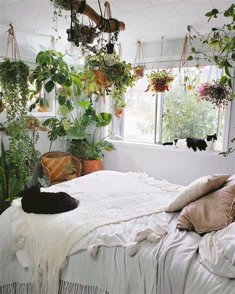 30 Original Indoor Plant Decor Ideas Find Unique And Fun Ways To