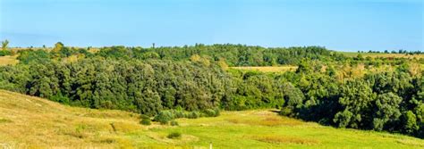 Upland Landscape stock photo. Image of poplars, mountains - 34256392