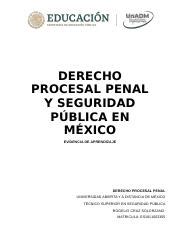 DPP U1 EA ROCS docx DERECHO PROCESAL PENAL Y SEGURIDAD PÚBLICA EN