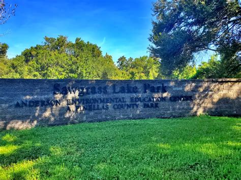 Sawgrass Lake Park: A Beautiful Natural Spot In The Heart Of St. Petersburg