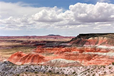 Petrified Forest National Park Self Guided Audio Tour Getyourguide