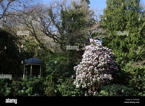 Portmeirion Gardens Gwynedd Wales Stock Photo Alamy