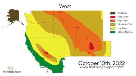 Sneaky Great Fall Color – California Fall Color