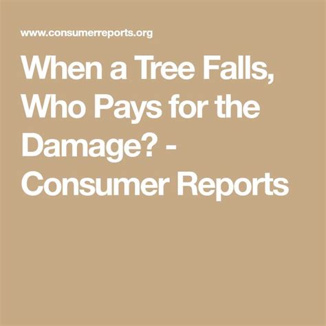 Who Pays For Tree Damage Homeowners Insurance Explained