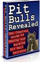 Pitbull Training - How To Train A Pitbull: Top 10 Pitbull Training Tips