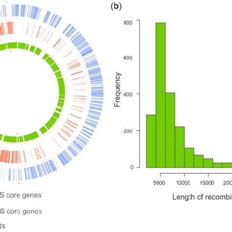 Genome Map Of Streptococcus Mutans A Representation Of The Forward