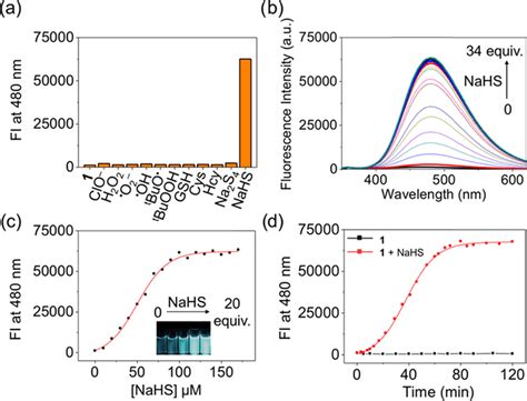 A Fluorescence Response Of M To Various Redox Species