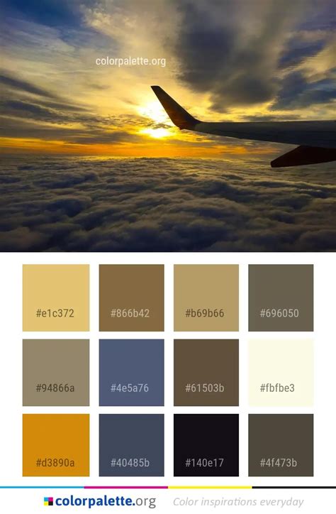 Sky Air Travel Atmosphere Color Palette | colorpalette.org