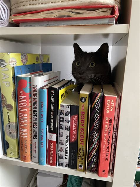 43 Year Old Complaining About Morning People On Twitter His Ass Is Not Reading