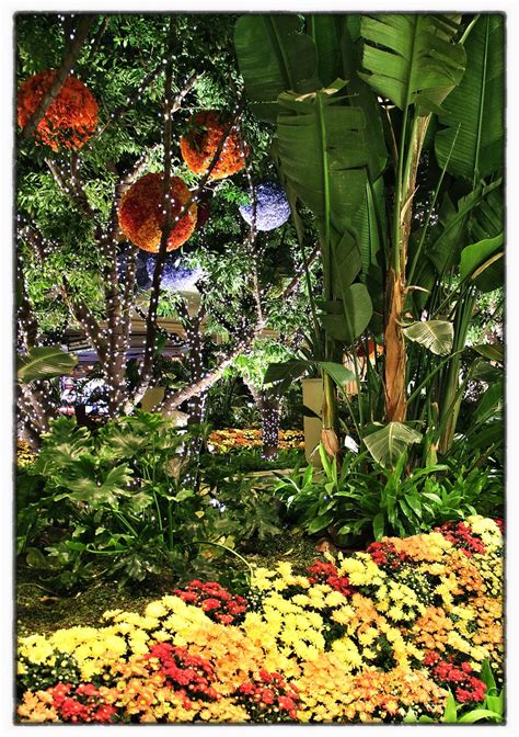 Wynn Hotel Floral Gardens Las Vegas King Grecko Flickr