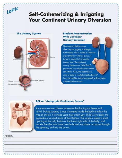 Urinary Diversions Diagram Ou Medicine