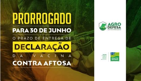 Terminada A Etapa De Vacina O Contra Aftosa Pecuaristas Devem Fazer