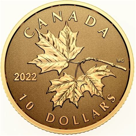 Pin By Loulou Delarosbel On CANADA Dollar Coins Skully