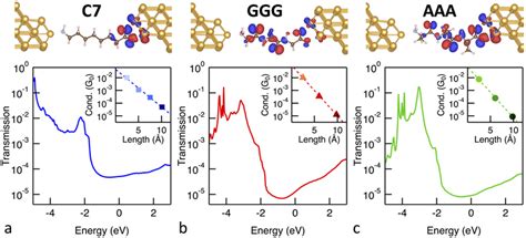 Probing Charge Transport Through Peptide Bonds Abstract Europe Pmc